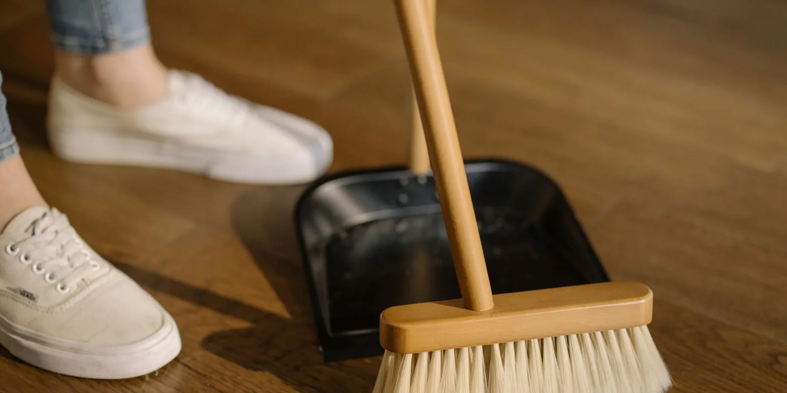 Mold and Bird Dropping Cleanup in Chandler Mold and Bird Dropping Cleanup in Chandler